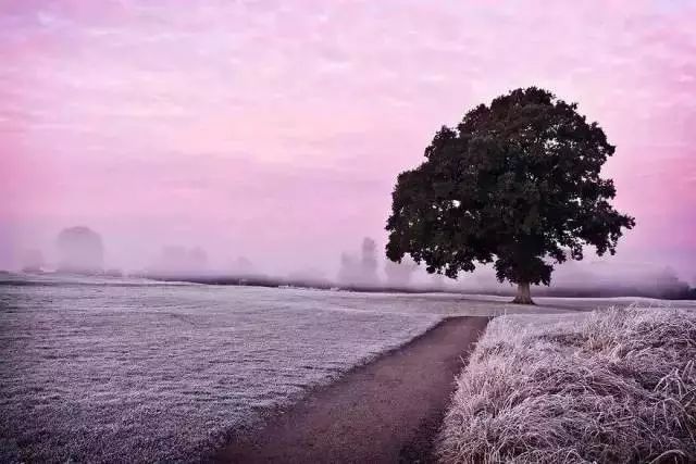 景深镜头全解析：掌握摄影清晰与模糊的艺术，轻松拍出专业级照片